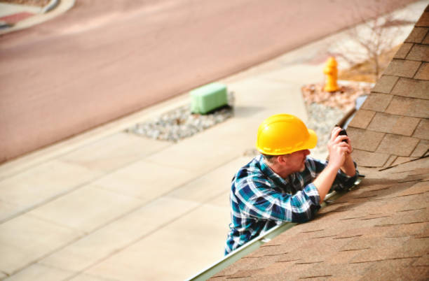 Best Roof Moss and Algae Removal  in Almont, MI